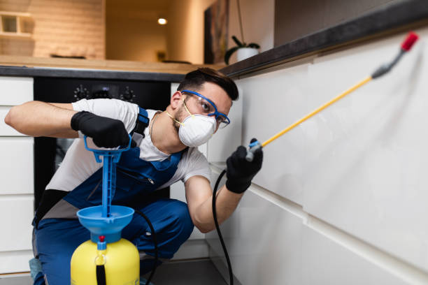 Trusted Oakland, TN Pest Control Experts