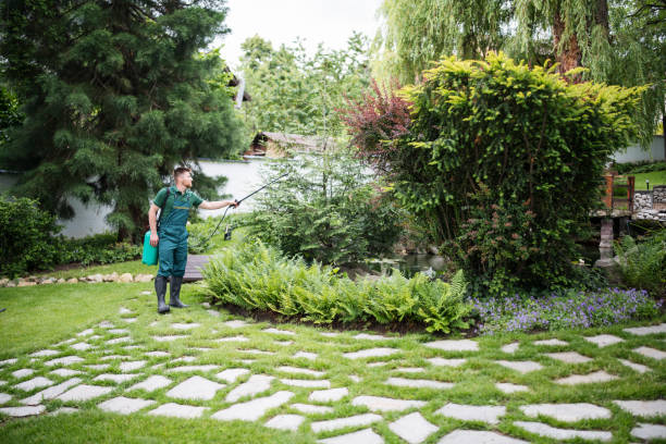 Wasp Removal Services in Oakland, TN