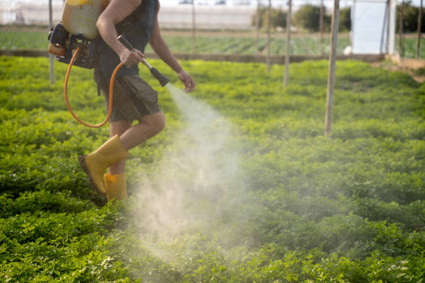 Best Mosquito Control Services  in Oakland, TN