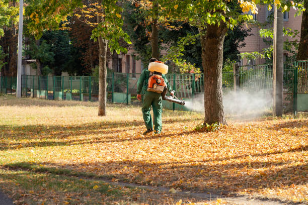 Best Rodent Control Near Me  in Oakland, TN