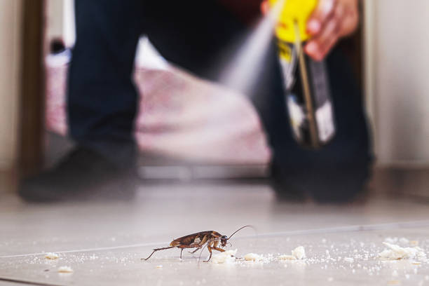 Best Cockroach Control Services  in Oakland, TN