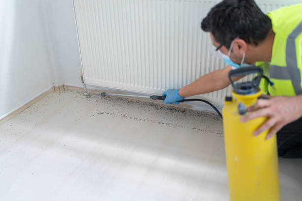 Best Residential Pest Control  in Oakland, TN